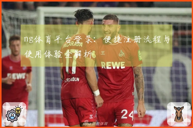 ng体育平台登录：便捷注册流程与使用体验全解析