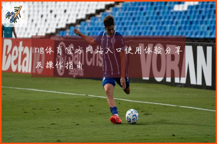 ng体育官方网站入口使用体验分享及操作指南