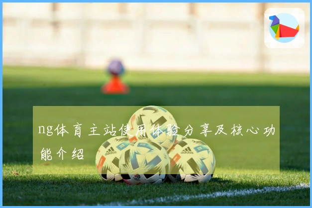 ng体育主站使用体验分享及核心功能介绍