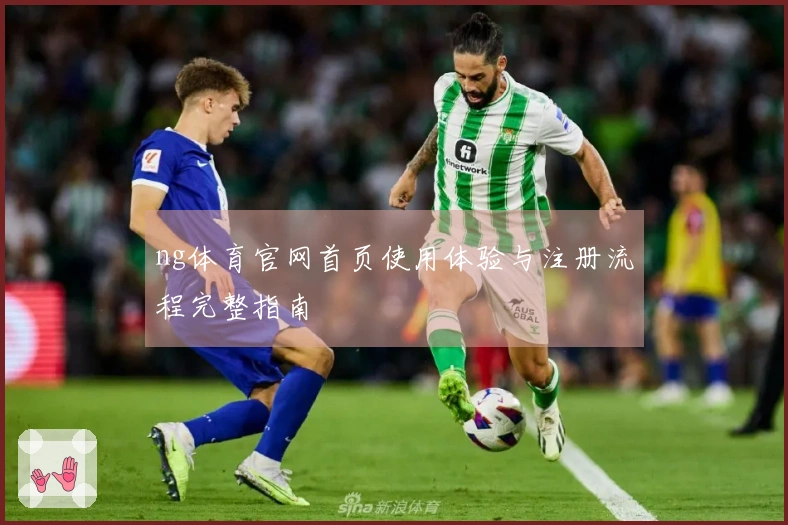 ng体育官网首页使用体验与注册流程完整指南