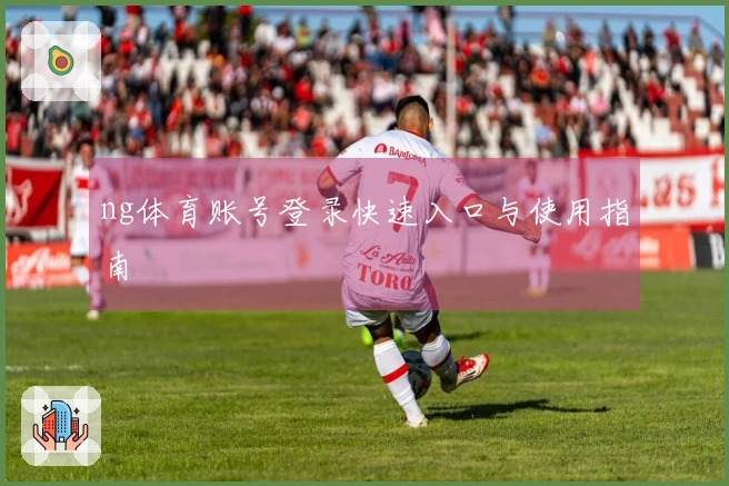 ng体育账号登录快速入口与使用指南