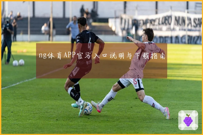 ng体育APP官方入口说明与下载指南