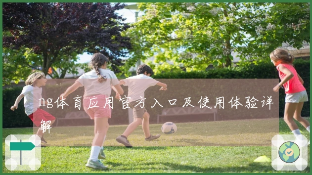 ng体育应用官方入口及使用体验详解