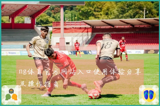 ng体育官方网站入口使用体验分享及操作指南