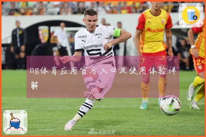 ng体育应用官方入口及使用体验详解